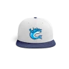 Pauer Sports Baseball HAT