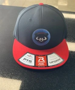 Pauer Sports Headwear Pauer Panda Pulse R Flex